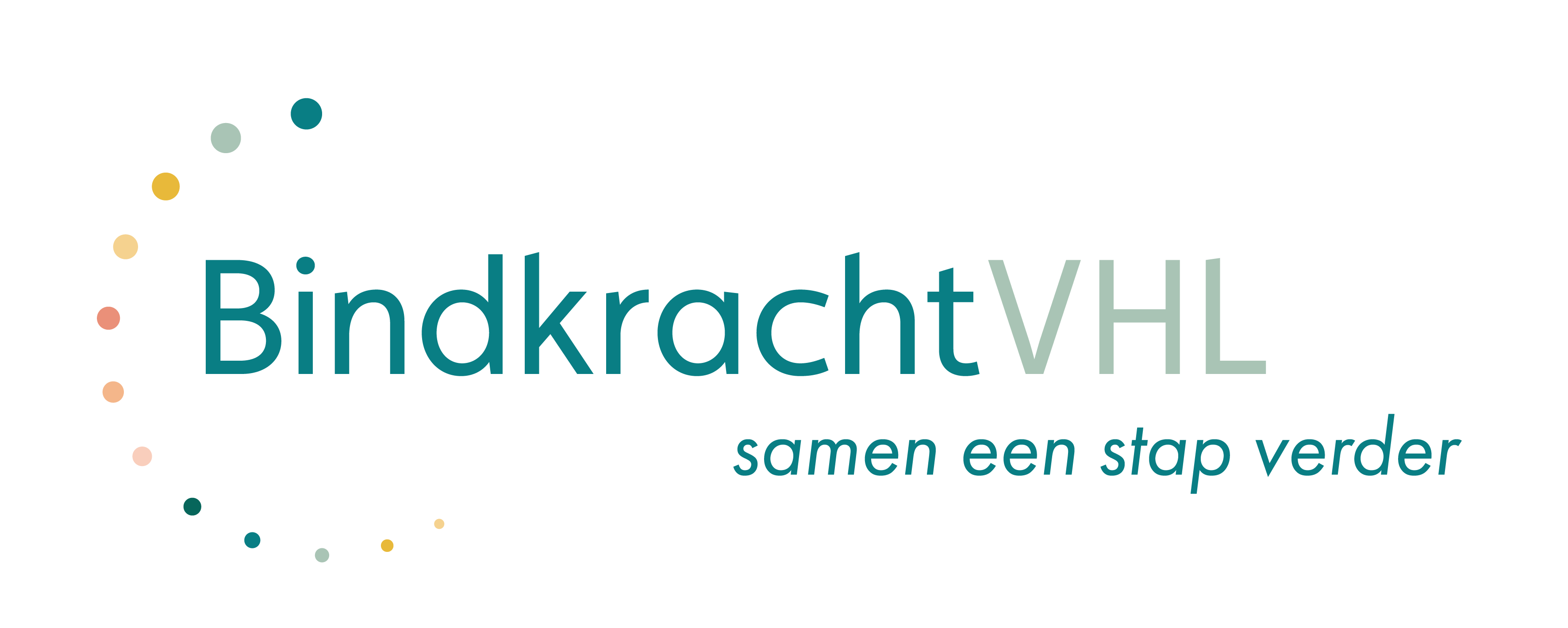 logo BindkrachtVHL